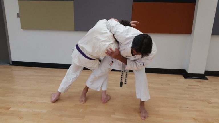 Read more about the article Layering Karate Practice to Avoid Training Scars