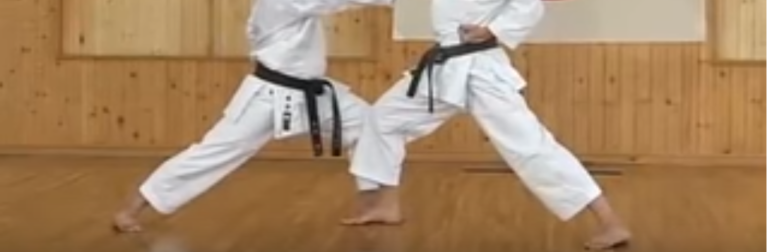 Read more about the article Step Sparring: A Relic of the Past